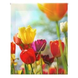 Happystor HSCP93004 Estor Enrollable Estampado Digital Paisajes Tejido Traslúcido
